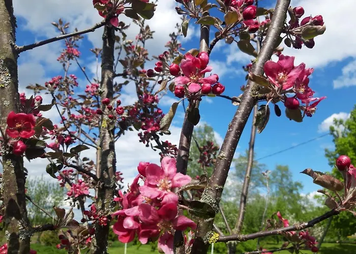 Ponka Affittacamere 3*