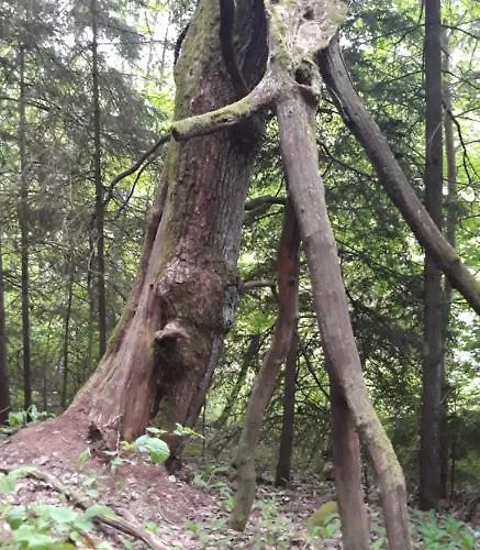 Gostinjska kuća Ponka