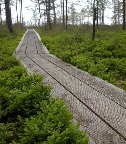 Ponka Gostinjska kuća Joesuu (Parnumaa)
